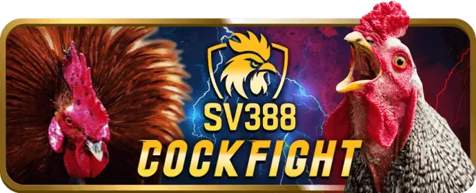 Ưu đãi chào mừng rs88